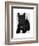 Scottish Terrier and Bow-Fab Funky-Framed Art Print