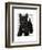 Scottish Terrier and Bow-Fab Funky-Framed Art Print