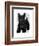 Scottish Terrier and Bow-Fab Funky-Framed Art Print