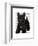 Scottish Terrier and Bow-Fab Funky-Framed Art Print