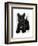 Scottish Terrier and Bow-Fab Funky-Framed Art Print