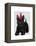 Scottish Terrier and Party Hat-Fab Funky-Framed Stretched Canvas