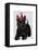 Scottish Terrier and Party Hat-Fab Funky-Framed Stretched Canvas