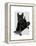 Scottish Terrier and Skateboard-Fab Funky-Framed Stretched Canvas