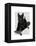 Scottish Terrier and Skateboard-Fab Funky-Framed Stretched Canvas