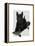 Scottish Terrier and Skateboard-Fab Funky-Framed Stretched Canvas