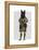 Scottish Terrier in Kilt-Fab Funky-Framed Stretched Canvas