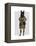 Scottish Terrier in Kilt-Fab Funky-Framed Stretched Canvas