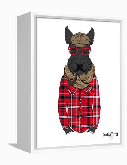 Scottish Terrier in Pin Plaid Shirt-Olga Angellos-Framed Stretched Canvas