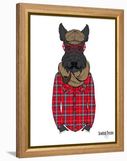 Scottish Terrier in Pin Plaid Shirt-Olga Angellos-Framed Stretched Canvas