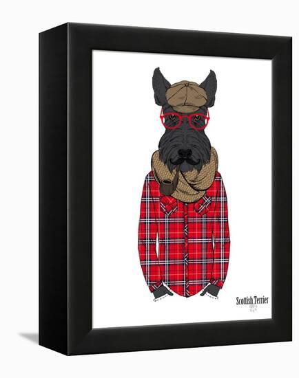 Scottish Terrier in Pin Plaid Shirt-Olga Angellos-Framed Stretched Canvas