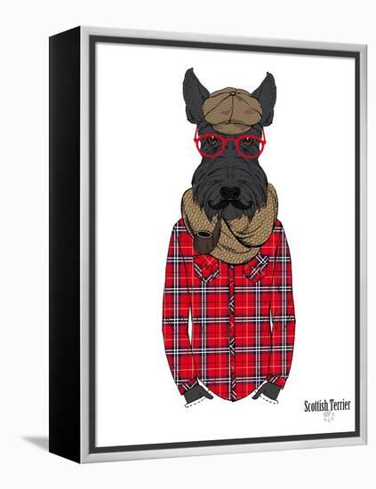 Scottish Terrier in Pin Plaid Shirt-Olga Angellos-Framed Stretched Canvas