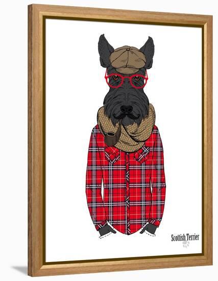 Scottish Terrier in Pin Plaid Shirt-Olga Angellos-Framed Stretched Canvas