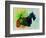 Scottish Terrier Watercolor-NaxArt-Framed Art Print