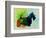 Scottish Terrier Watercolor-NaxArt-Framed Art Print