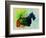 Scottish Terrier Watercolor-NaxArt-Framed Art Print