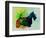 Scottish Terrier Watercolor-NaxArt-Framed Art Print