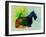 Scottish Terrier Watercolor-NaxArt-Framed Art Print