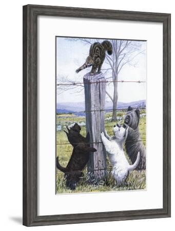 Scottish Terrier West Highland Terrier Skye Terrier Art Print Louis Agassiz Fuertes Art Com