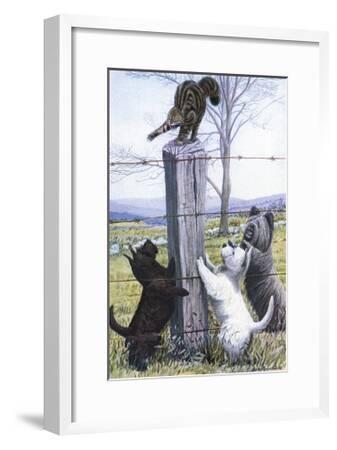 Scottish Terrier West Highland Terrier Skye Terrier Art Print Louis Agassiz Fuertes Art Com