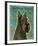 Scottish Terrier-John W^ Golden-Framed Art Print