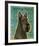 Scottish Terrier-John W^ Golden-Framed Art Print