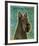 Scottish Terrier-John W^ Golden-Framed Art Print