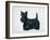 Scottish Terrier-Harro Maass-Framed Giclee Print