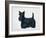 Scottish Terrier-Harro Maass-Framed Giclee Print