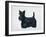 Scottish Terrier-Harro Maass-Framed Giclee Print