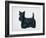 Scottish Terrier-Harro Maass-Framed Giclee Print