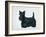 Scottish Terrier-Harro Maass-Framed Giclee Print