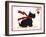 Scottish Terrier-Beverly Johnston-Framed Giclee Print