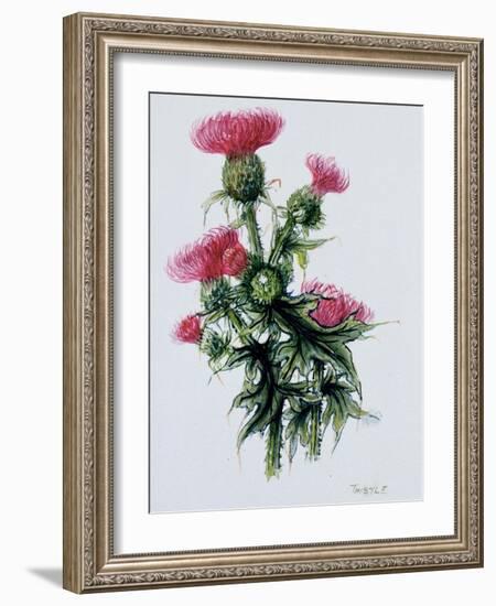 Scottish Thistle-Nell Hill-Framed Giclee Print