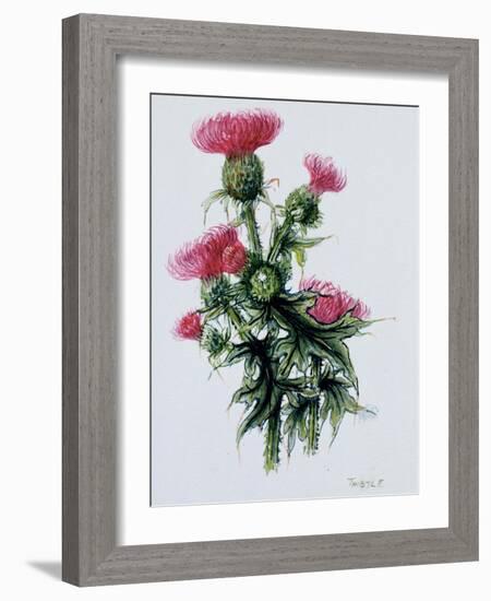 Scottish Thistle-Nell Hill-Framed Giclee Print