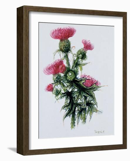 Scottish Thistle-Nell Hill-Framed Giclee Print