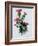 Scottish Thistle-Nell Hill-Framed Giclee Print