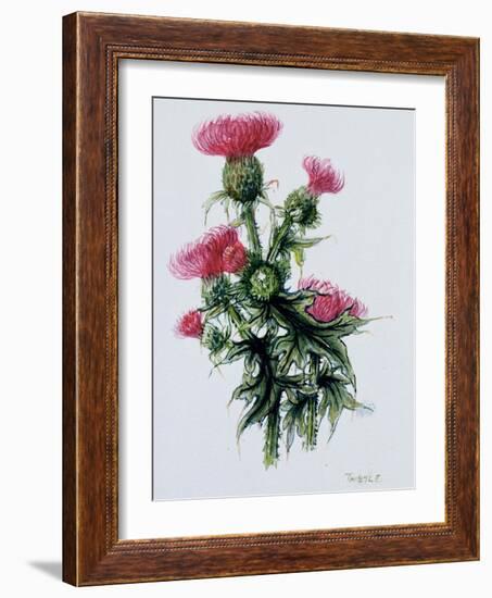 Scottish Thistle-Nell Hill-Framed Giclee Print