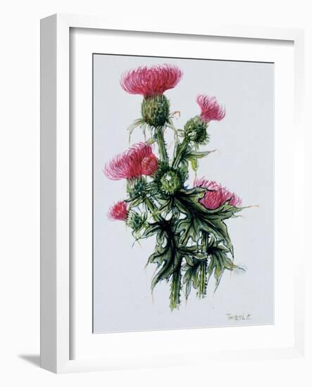 Scottish Thistle-Nell Hill-Framed Giclee Print