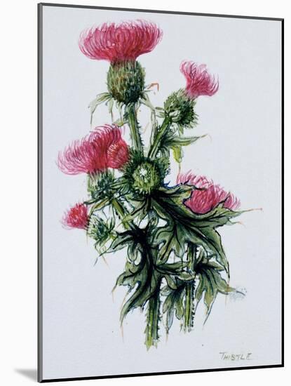 Scottish Thistle-Nell Hill-Mounted Giclee Print