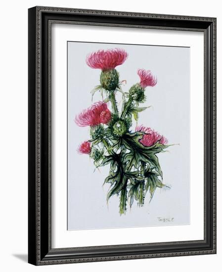 Scottish Thistle-Nell Hill-Framed Giclee Print