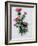 Scottish Thistle-Nell Hill-Framed Giclee Print