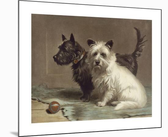 Scotty and Khaki-Margaret Collyer-Mounted Premium Giclee Print