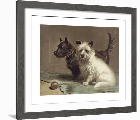 Scotty and Khaki-Margaret Collyer-Framed Premium Giclee Print