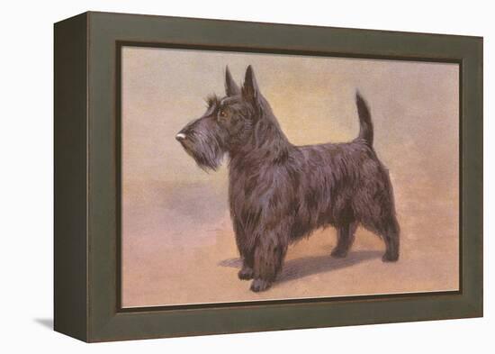 Scotty Dog-null-Framed Stretched Canvas