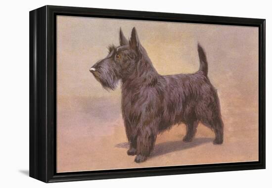 Scotty Dog-null-Framed Stretched Canvas