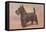 Scotty Dog-null-Framed Stretched Canvas