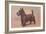 Scotty Dog-null-Framed Art Print