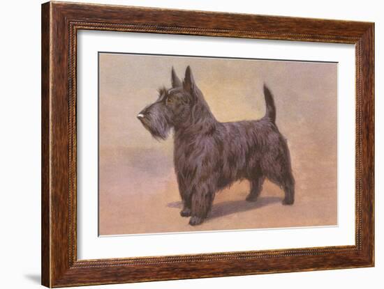 Scotty Dog-null-Framed Art Print