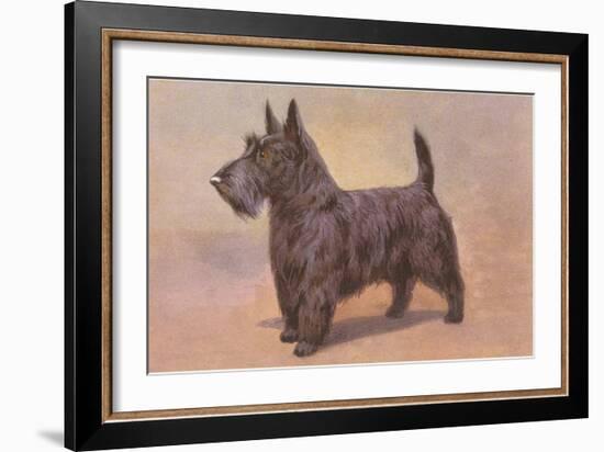 Scotty Dog-null-Framed Art Print